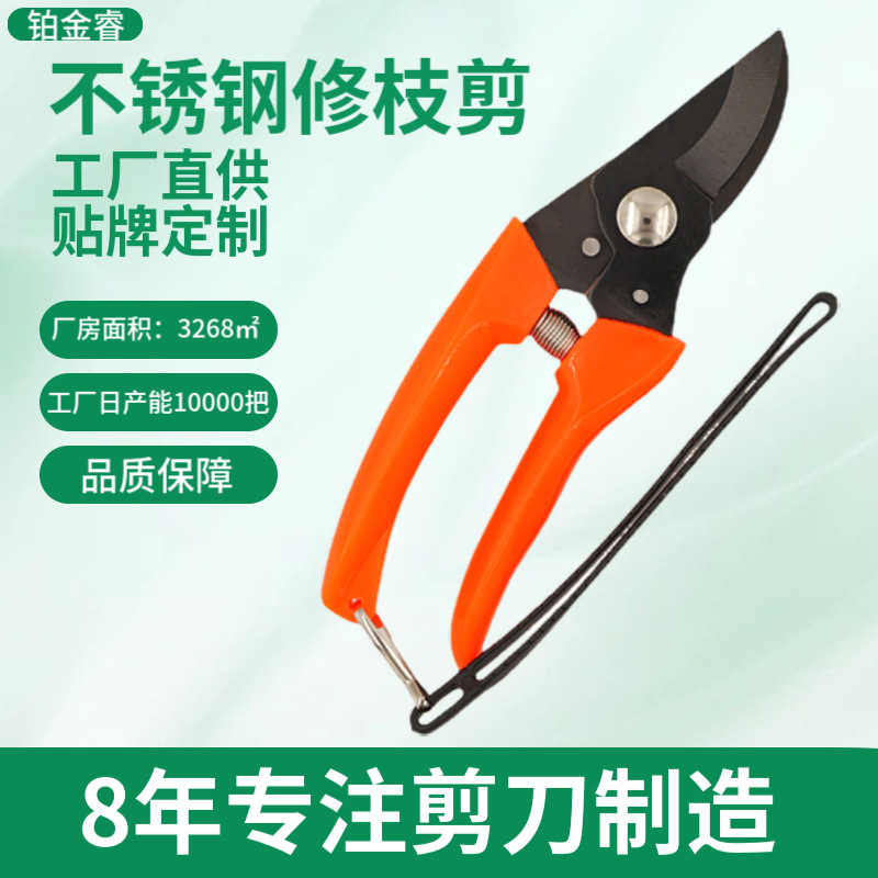 果园盆栽树枝剪刀园林工具花艺修枝摘果树弯咀不锈钢修枝剪枝条