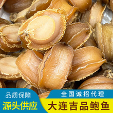 大连吉品鲍鱼 大连吉品鲍 大头数黄金鲍 纯淡干鲍鱼批发