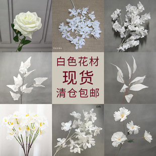 ���滨��ɫõ�彑���w��ҾӔ[�����컨�ٻ��zӰ���ߵ��·���廨