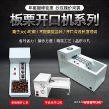 厂家直销全自动板栗开口机剥壳机栗子割口机划口机商用割栗子机剥