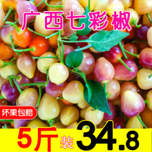 5斤装广西特色特产七彩椒辣椒五彩椒泡椒灯笼椒小圆椒包邮香脆爽2