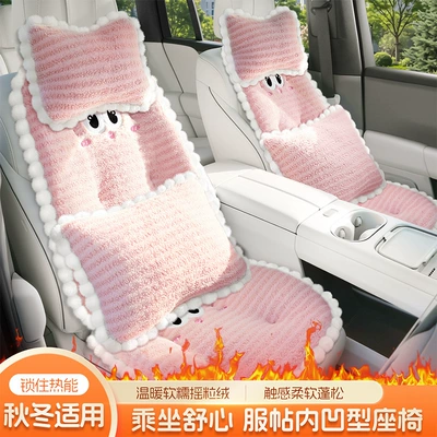 Seat cushion, seat cover — for car seats