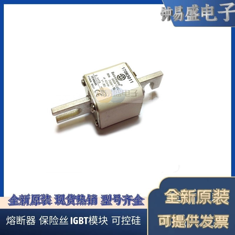美国BUSSMANN熔断器170M3192  170M3193  170M3194  170M3195