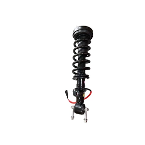 Lincoln Navigator Ön Elektrikli Amortizator Jl1Z18125C Jl1Z-18125-C üçün Uyğundur