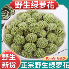 正品天然野生绿萝花新货中药材500g正宗绿萝花茶结香花绿箩花泡茶