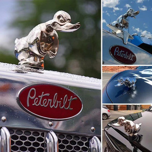 �羳�¿�������w�b�Ʒ ���ѵ�����������������֬��ˇ�b�