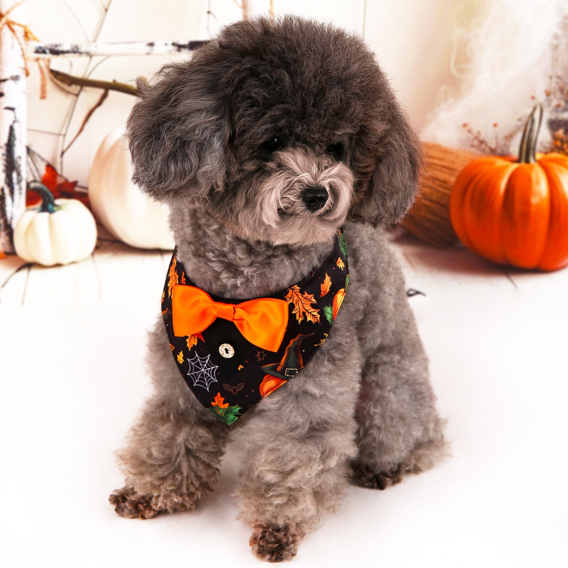 Halloween nuevo traje de mascotas toallas triangulares toallas de saliva collar de mascotas fábrica de ropa de perro en stock
