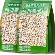 ���rС޲��2024��؛�r��޲����޲������������s�Z������޲���ײ�