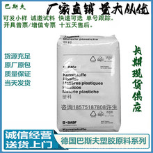 15%���w����PA6 HPN 9315G / HPN 9315G HS BK-102 BASF Capron