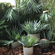 �S��ֱ�N�F؛���l¹���~�پGֲ�[���҃������ֲ����^�廨�b�