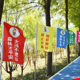 旗帜;吊旗/三角旗;其他