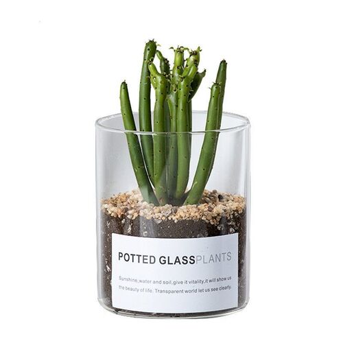 Simple Nordic ins transparent glass vase succulent hydroponic straight glass flowerpot cactus gardening bottle wholesale