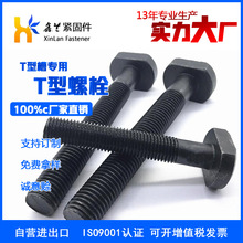 Դ�^�S�����a����T�Ͳ�����˨ T�Ͳ���˨,T����˨�S��ȫ�ݼy