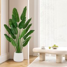 ���W����Gֲ�����B���˽�����ֲ��[���҃��b��쾰�͏d�ҾӃ��x