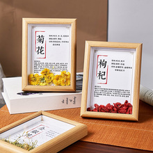 中药标本养生汤摆件药食同源挂画中医画框相框桌面草药挂图装饰