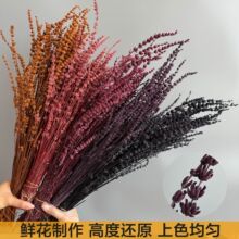 永生薰衣草干花ins家居装饰diy材料包ins拍摄道具云南跨境批发