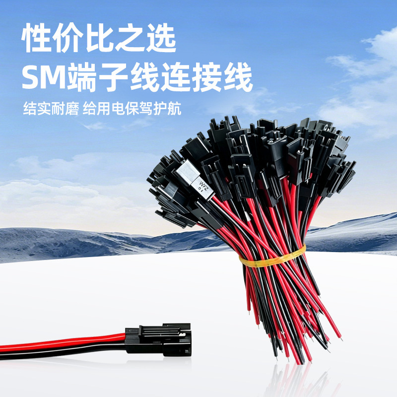 Sm Terminal Cable 2P4P Plug-In Cable with Male and Female Connectors, Pin Base, Led Terminal Cable, Toy Power Connection Cable Sm Terminal Cable 2P4P Plug-In Cable with Male and Female Connectors, Pin Base, Led Terminal Cable, Toy Power Connection Cable