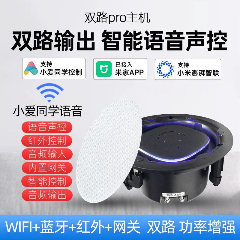 Двухканальный профессиональный потолочный динамик Xiaolai с голосовым управлением, беспроводной Wi-Fi и Bluetooth-аудио