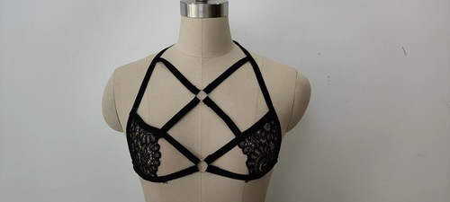 Sexy lingerie for women European and American foreign trade sexy strappy halterneck hollow see-through temptation bra wholesale dropshipping 1600
