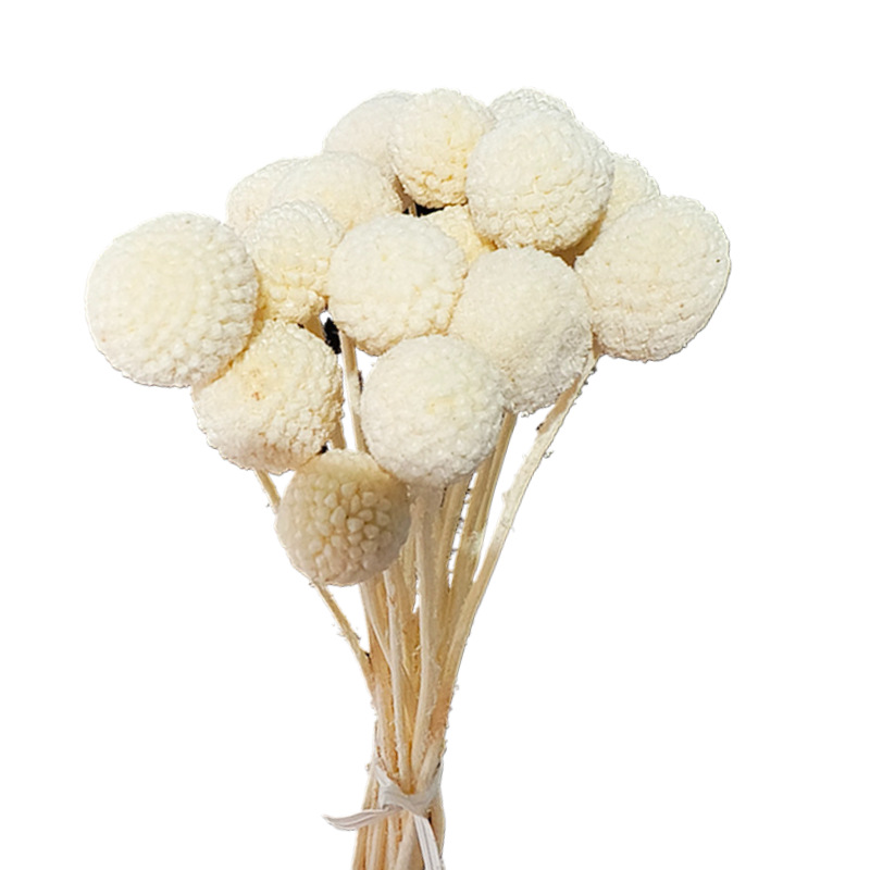 화이트(20개/묶음)