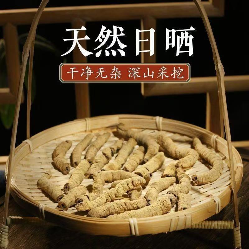 Ba Ji Tian Dried Morinda Root 100g Bottle Traditional Chinese Herb for Decoction and Soup quality and texture