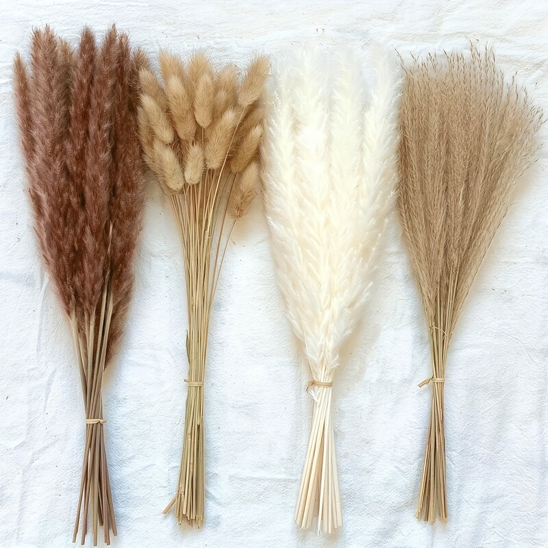 Pampas Grass, Reed, Rabbit Tail Grass Dried Flower Bouquet, Off-White Living Room Decoration, Large Reed, Cross-Border Shipping