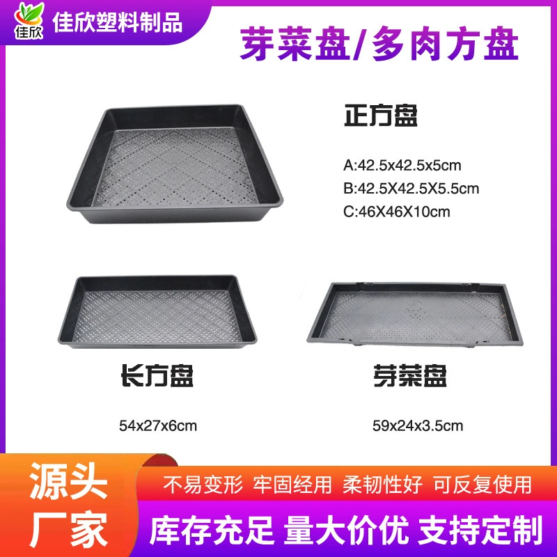 Толстая рама для рассады Прямоугольный мясистый горшок с листьями ростков рассады