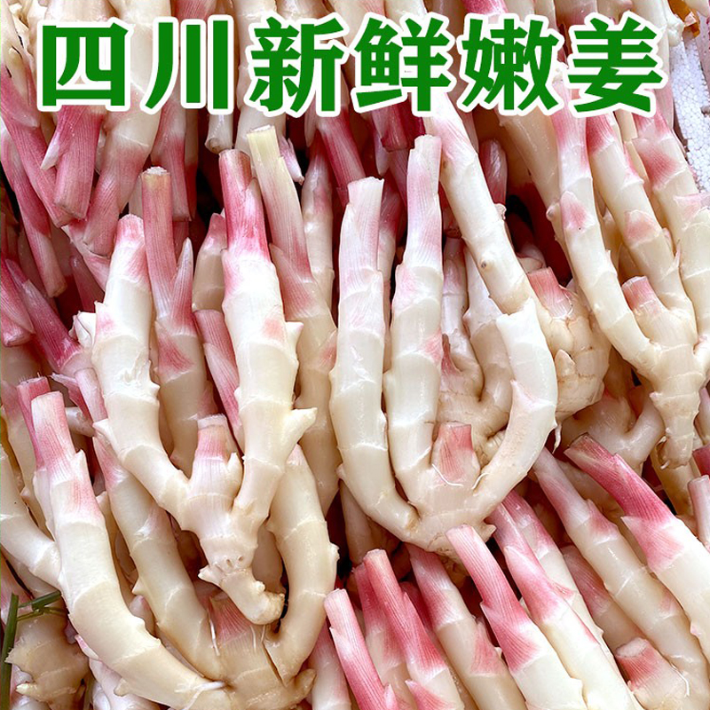四川现挖新鲜嫩仔姜乐山特产姜牙子醋泡生姜5斤农家应季时令蔬菜