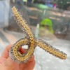 Big crab pin from pearl, face blush, elegant hairgrip, shark, hairpins, hair accessory, internet celebrity, South Korea