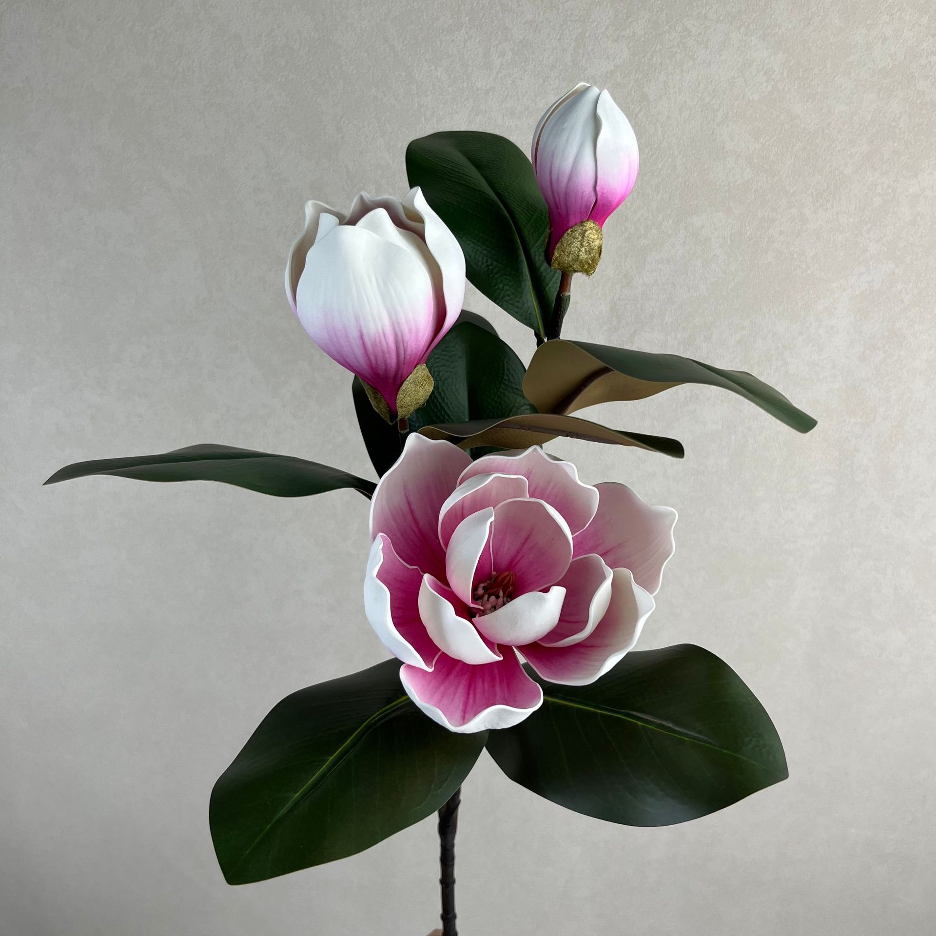 Blanco rosa