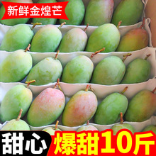 ���˟o�zâ�����â�V������â��â��С��ͮ�������ɳ�������â
