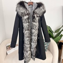 }ŮʿɲжëBñɿ˷rаٴӺůƤŮ