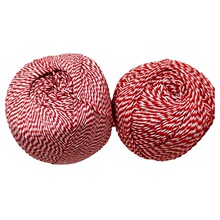 �t������������K���Ϲ��K�������D�c�}�Q�̘˿����ƌ����o�Ͼ�