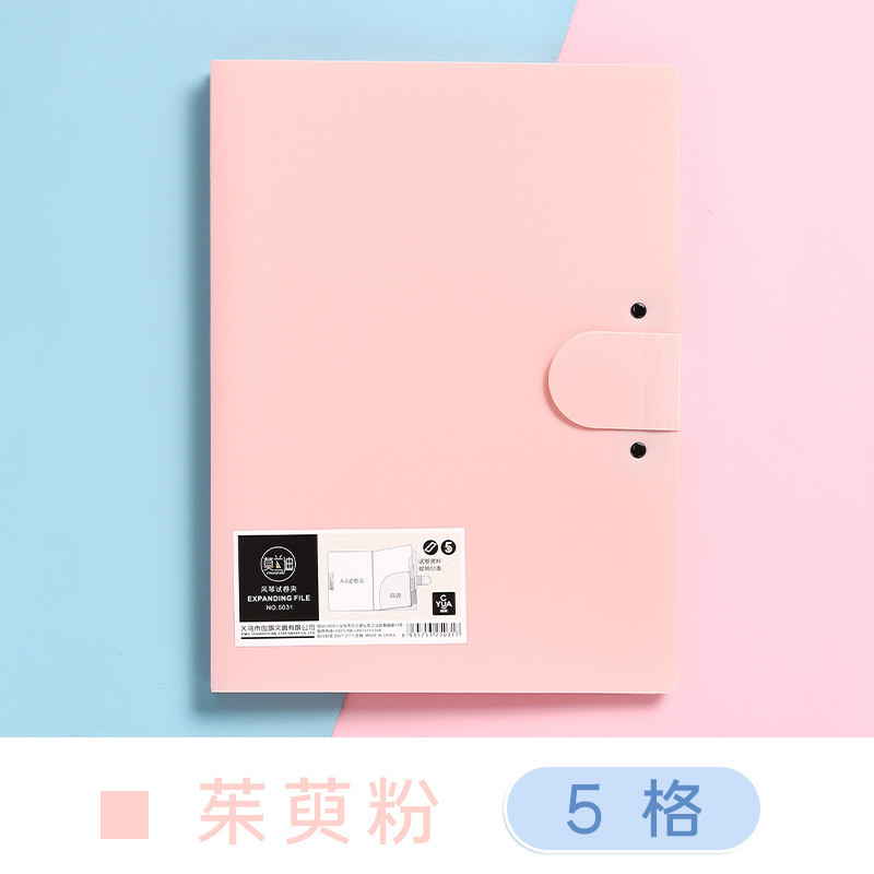 Multi-Pocket Plastic A4 Organizer File