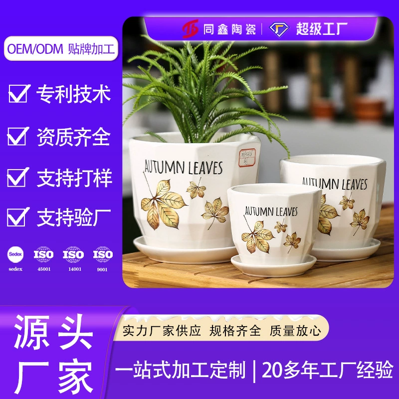 TX65 Dehua Tongxin Производитель Керамических Горшков для производства и обработки цветочных горшков по индивидуальному заказу оптовые керамические горшки