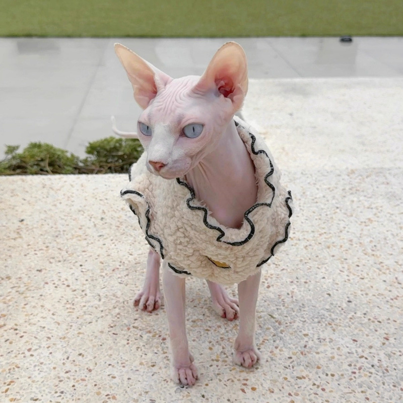 Ropa de gato sin pelo de invierno caliente a prueba de frío chaleco de cordillera de borde de Devince esfinge de algodón frío image 2