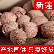 带芯红莲子大粒有芯红皮莲子500g直径13毫米批发无硫湘潭莲子干货