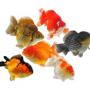 ���~���~�^�p�~С�͵�ˮ���B��ˮ�~�~������С���~���B�ͻ���~