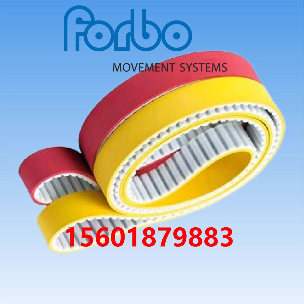 FORBO-SIEGLING- 聚氨酯同步带，按照图纸设计，可选表面涂层。