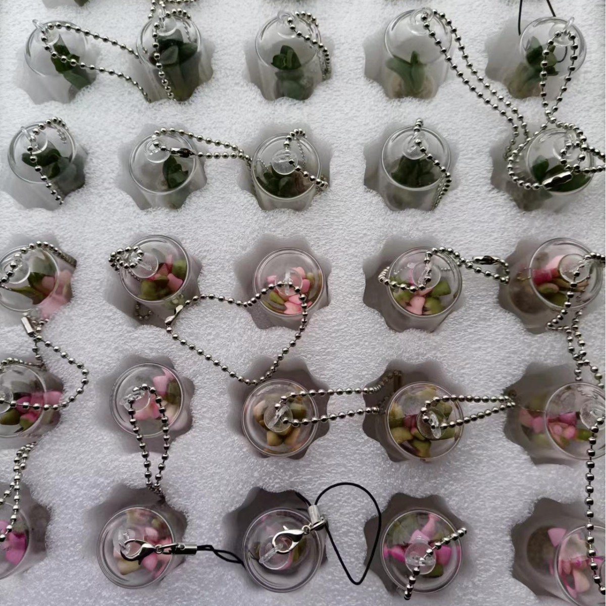 2024-10-21 10:14:21.jpg