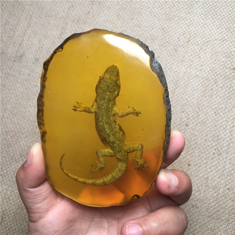 인공적으로 최적화 된 앰버 장식품 곤충 피어 GECKO SCORPION DRAGONFLY CICANUS 나비 슬라이스 손 손잡이