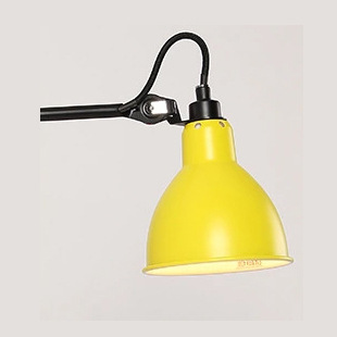 작은 갓 노란색