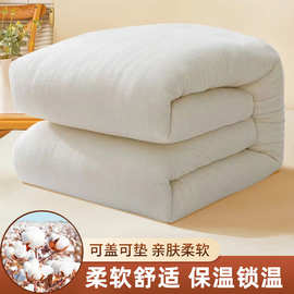 现货批发棉花被芯可定制加厚秋冬被芯家用民宿单人双人棉絮被芯