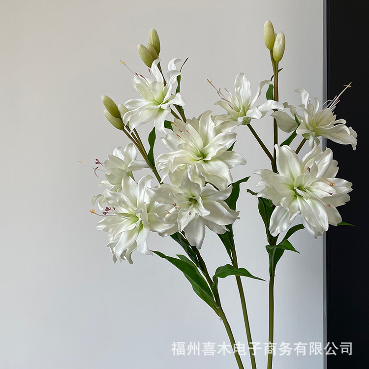 photo-output_3 5.JPG