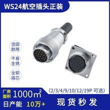 WS24���b���ղ��^ ���m����~��B���� 2-3-4-9-10-12-19о���x