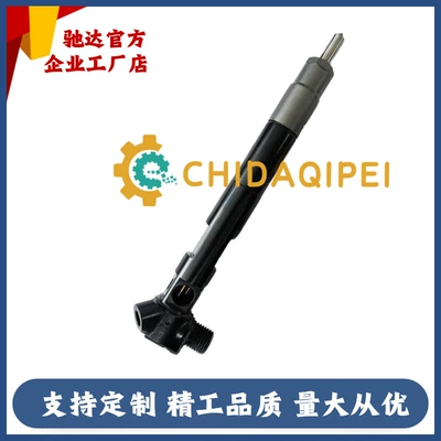 Oil pump, nozzle Diesel Common Rail