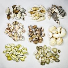 �F؛��Ȼؐ�����ݺ����~���쾰�b�DIY��ͯ��߽̲�ˮ��DIY�쾰