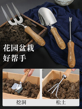 张小泉园艺工具栽养花种菜种花卉多肉家用花铲赶海铁锹小铲子