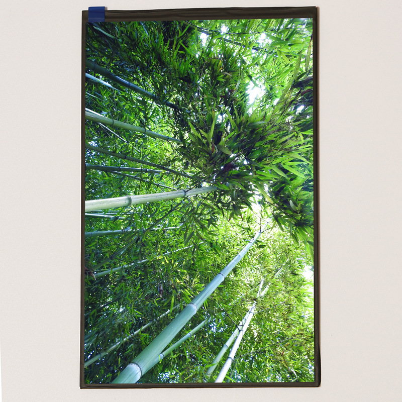 工厂8寸显示屏LCD800×1280IPS人脸识别微信支付MIPI接口液晶屏