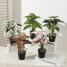 仿真小仙芋盆栽绿植套装塑料花家居室内客厅茶几绿叶阳台装饰品